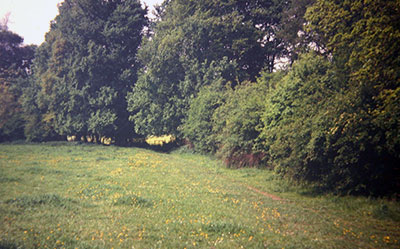 A view taken in the 1960s of   countryside near Henley  . Where?    Photo kindly provided by Roy Sadler.  