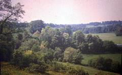 Old postcard of Countryside, Henley.