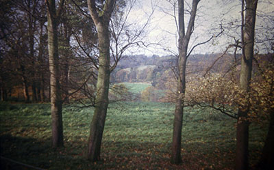 A view from the woods taken in the 1960s of   countryside near Henley  .    Photo kindly provided by Roy Sadler.  
