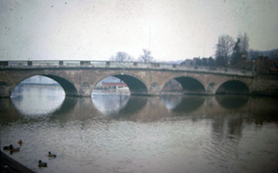A view taken in the 1960s of ducks in the   River Thames   by   Henley Bridge  .    Photo kindly provided by Roy Sadler.  