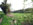 Countryside: 29/04/2006 at 07:25 Thumbnail