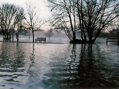 River Thames: 02/01/2009